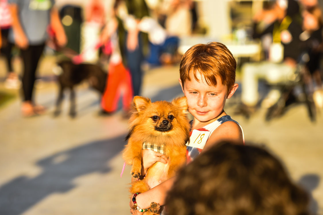 Dog Contest-1.jpg